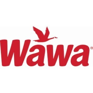 Team Page: Wawa Team 1